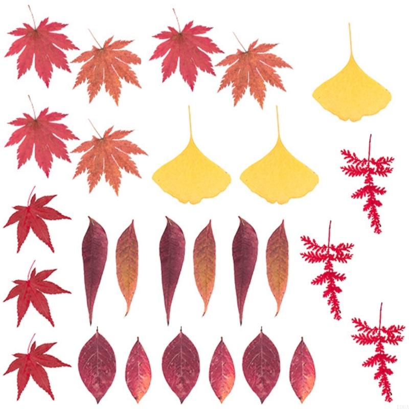 Gedroogde geperste bloem voor  - Art Craft With Leaves recensie en prijs